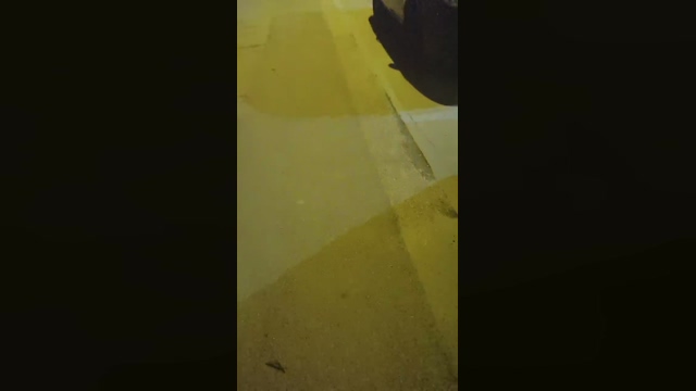 2horny2gay  01-04-2022